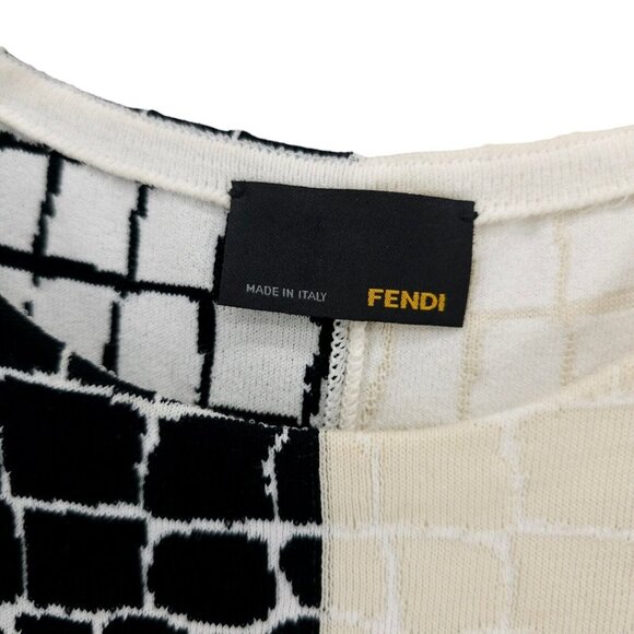 FENDI Dress Crocodile Animal Pattern Two-Tone Black Cream Stretch Size 40 - US 4 - Picture 4 of 7